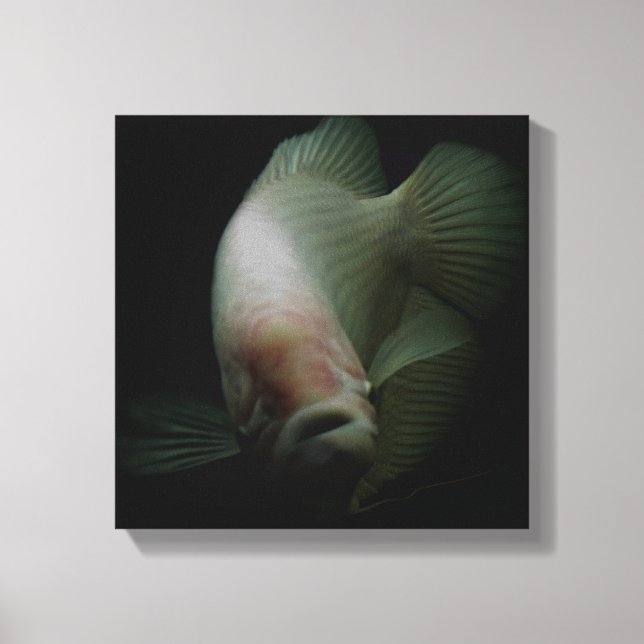 Lienzo Pescado en retrato de tanque (Anverso)