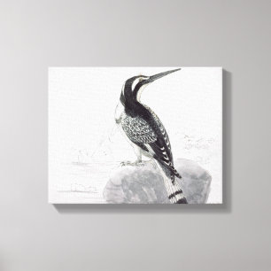 Lienzo Pescador negro y blanco