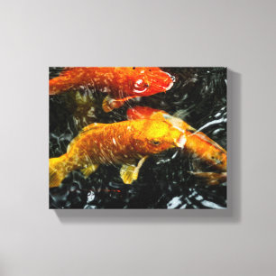 Lienzo Pescados coloridos de Koi el Chengdu