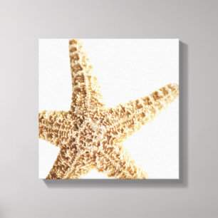 Lienzo Pescados de la estrella