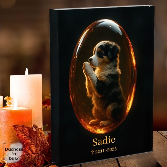 Lienzo Pet Memorial Australian Shepherd Amber Canvas  (Pet Memorial Australian Shepherd Amber Art Print)