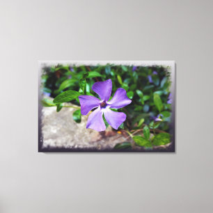 Lienzo Pétalos morados azules