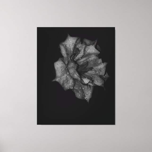 Lienzo Pétalos recién besados en la oscuridad (Anverso)