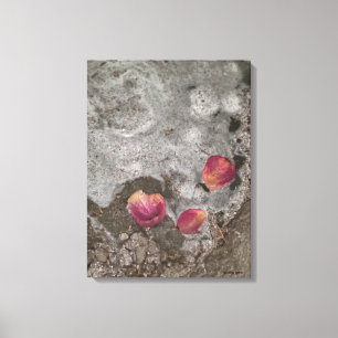 Lienzo Petals Ashore