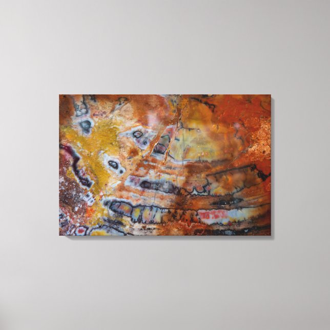 Lienzo Petrified Wood Brown (Anverso)