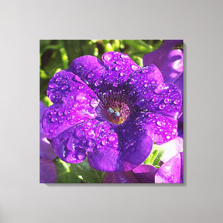 Lienzo Petunia púrpura en tela de lluvia