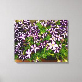 Lienzo Petunias con rayas moradas