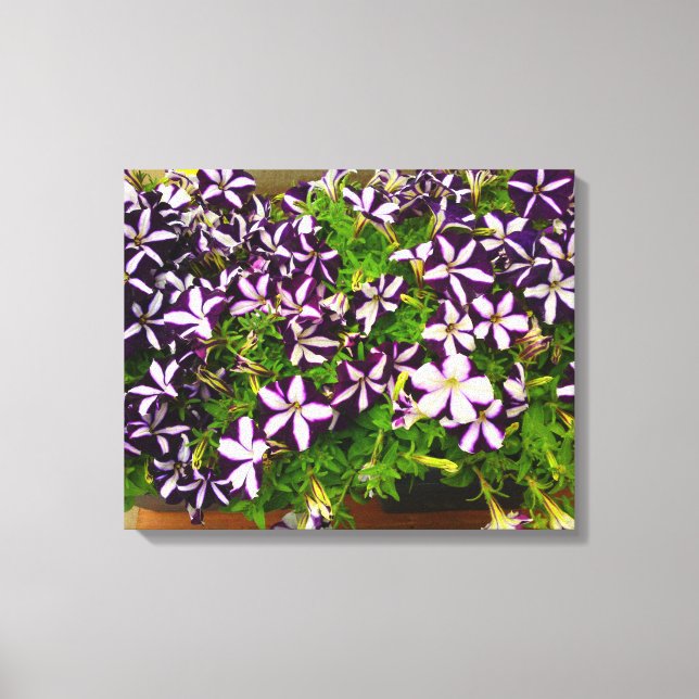Lienzo Petunias con rayas moradas (Anverso)