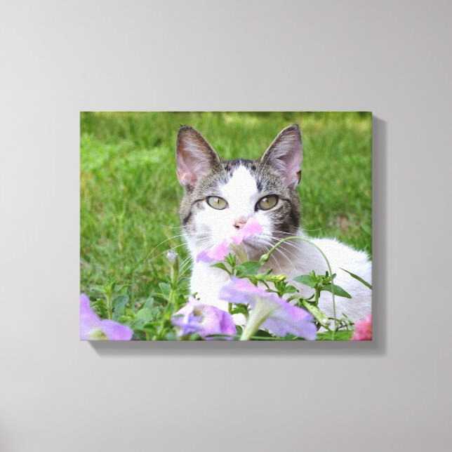 Lienzo Petunias Kitty y Pink (Anverso)