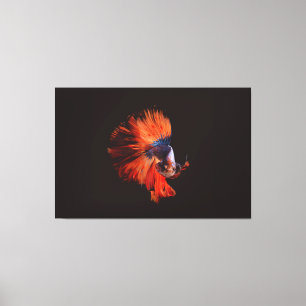Lienzo Pez Betta