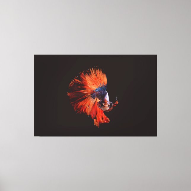 Lienzo Pez Betta (Anverso)