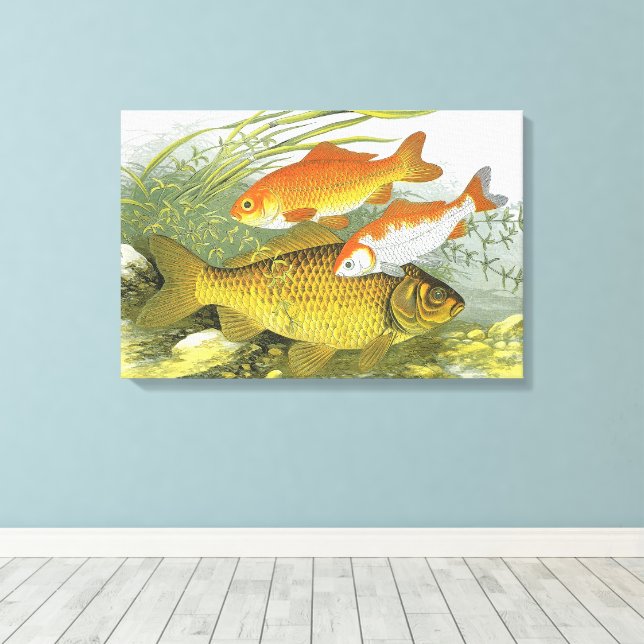 Lienzo Pez Koi Goldfish, Vida Marina Acuática Antigua (Insitu (piso de madera))