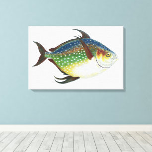 Lienzo Pez Opah Tropical, Animal Acuático Marino Vintage