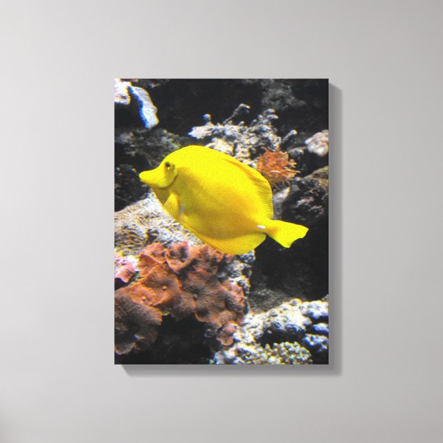 Lienzo Pez tang amarillo (Anverso)