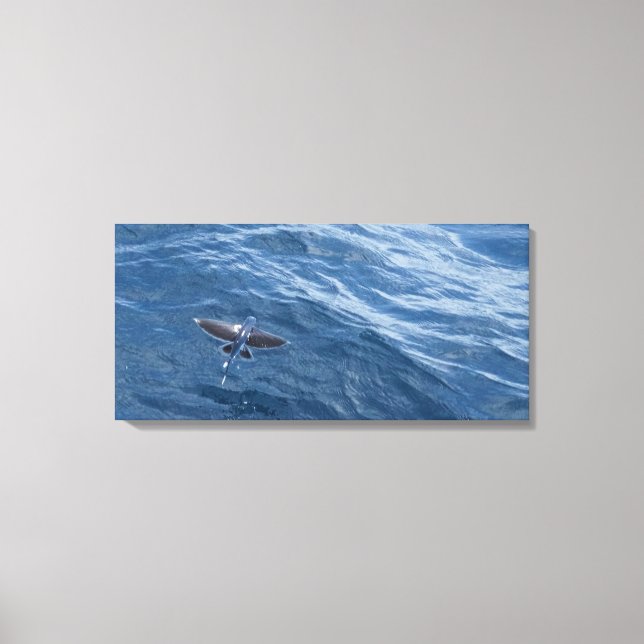Lienzo Pez Volador (Anverso)