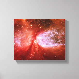 Lienzo Phoenix