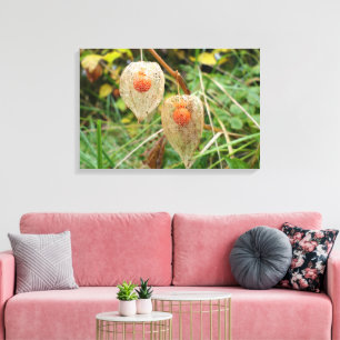 Lienzo Physalis alkekengi
