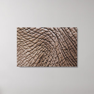 Lienzo Piel africana de elefante (Loxodonta africana)