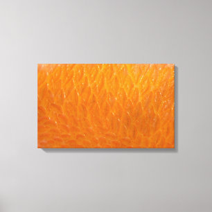 Lienzo Piel de Rockfish
