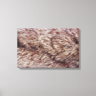 Lienzo Piel del lince