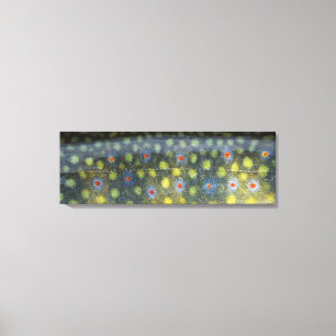 Lienzo Piel hermosa, río Jordán Brookie "