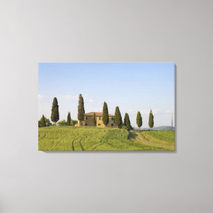Lienzo Pienza, Val d'Orcia, provincia de Siena, Toscana,
