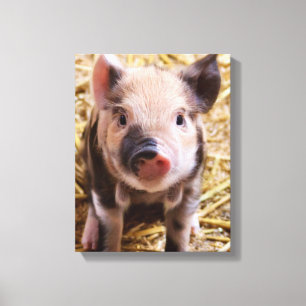 Lienzo Piglet