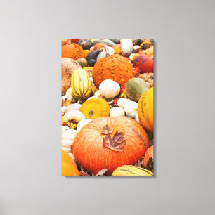 Lienzo Pila de calabazas y zapallo