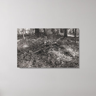 Lienzo Pila de garrapatas - blanco y negro cálido