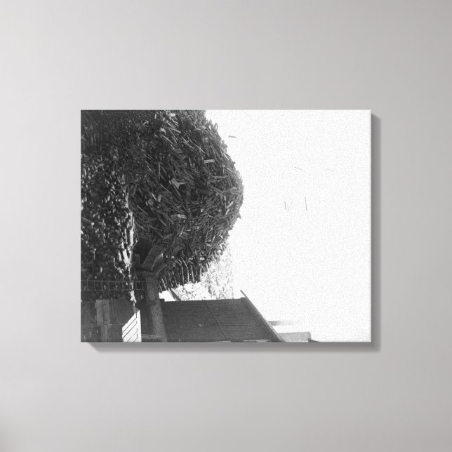 Lienzo Pila de madera afuera de la fotografía de De Smet  (Anverso)
