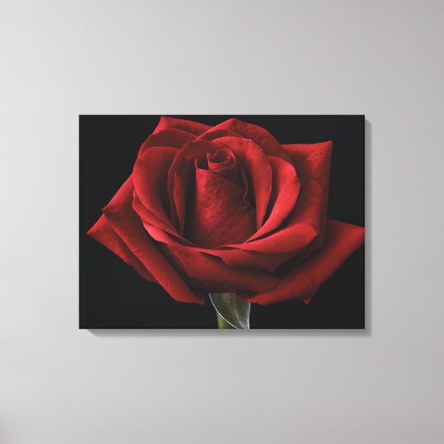 Lienzo Pilar de lanzamiento de rosa roja (Anverso)