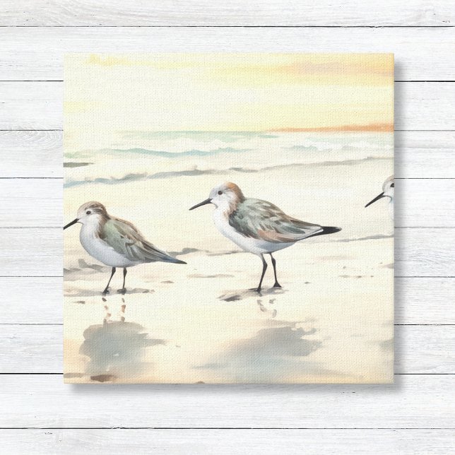 Lienzo Pimientos de arena en la playa (Minimalist Sandpipers on Beach Coastal Beach Wall Art Canvas)