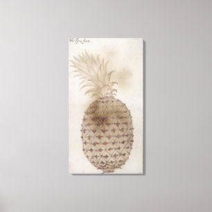 Lienzo Piña,