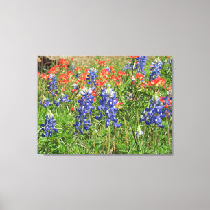 Lienzo Pinceles de tela de Texas Wildflower Bluebonnets