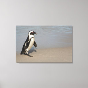 Lienzo Pingüino Africano Caminando