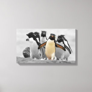 Lienzo Pingüinos de Rockhopper
