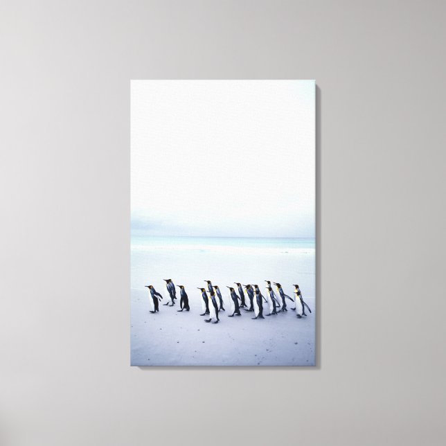 Lienzo Pingüinos rey (Aptenodytes patagonicus) (Anverso)