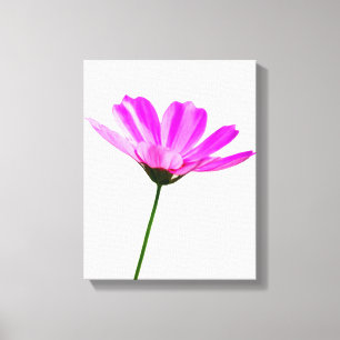 Lienzo Pink Daisy