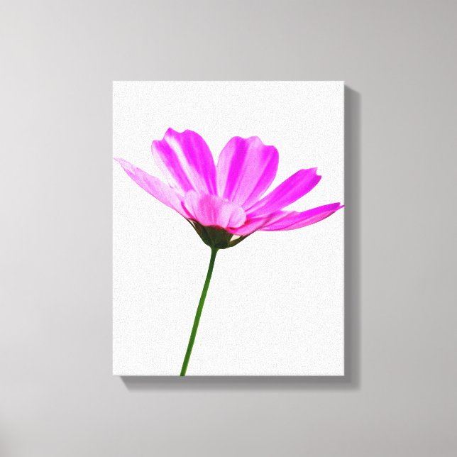 Lienzo Pink Daisy (Anverso)