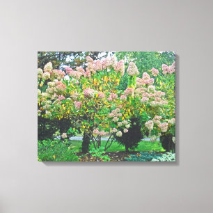 Lienzo PINK HYDRANGEA ÁRBOLES de tela estirada Imprimir