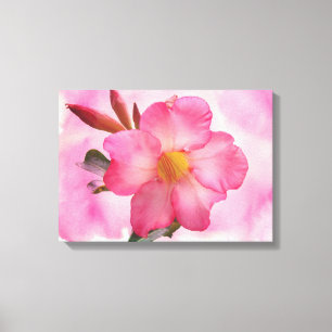 Lienzo Pink Mandevilla Vine