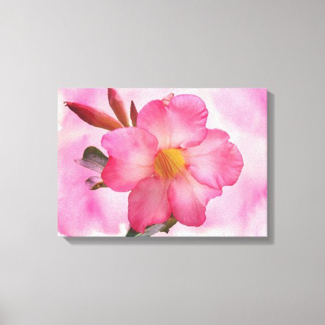 Lienzo Pink Mandevilla Vine (Anverso)