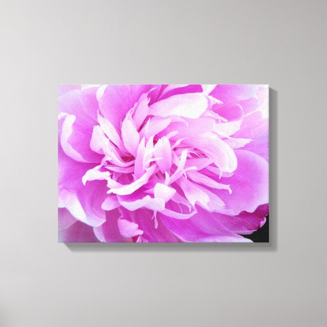 Lienzo Pink Peony (Anverso)