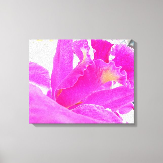 Lienzo Pinky (Anverso)