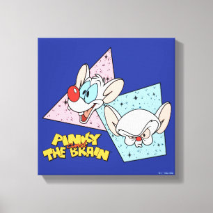 Lienzo Pinky y el cerebro   Gráficos de caracteres retro