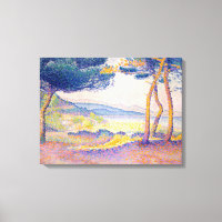 Pinos a lo largo de la costa