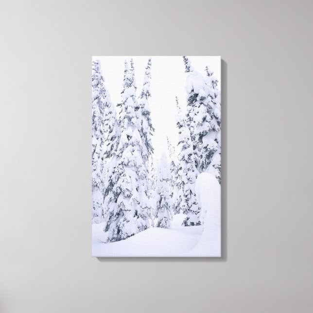 Lienzo Pinos de cañón de lodge cubiertos de nieve (Anverso)