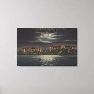 Lienzo Pinos de la bahía, la Florida - vista iluminada