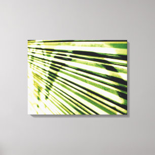 Lienzo Pintada en un obturador