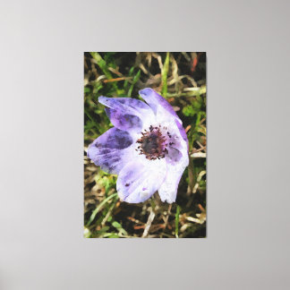 Lienzo Pintado de flores silvestres Lilac Blue Anemone Co